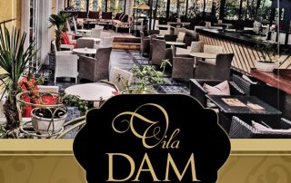Vila Dam