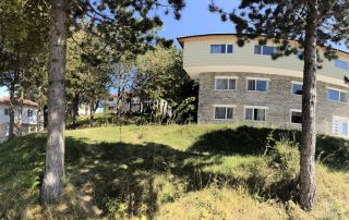 Shkreli Resort